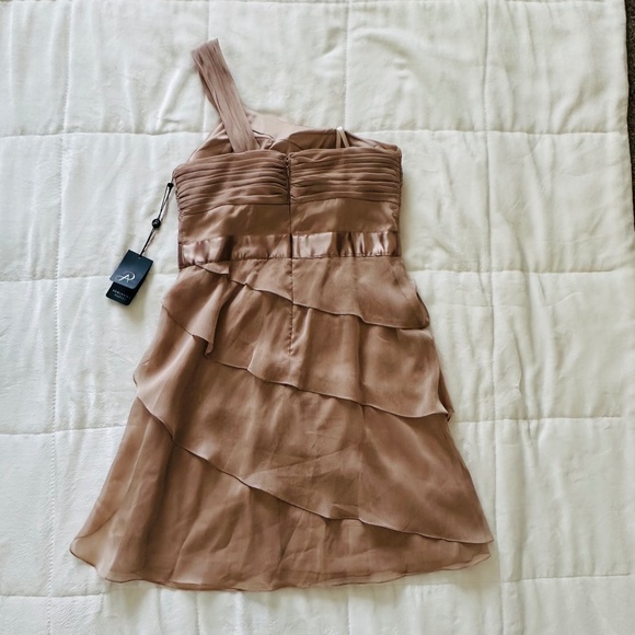 Dress | size 6 | Adrianna Pappel | Cocktail  | Champagne, blush, nude - Picture 9 of 14